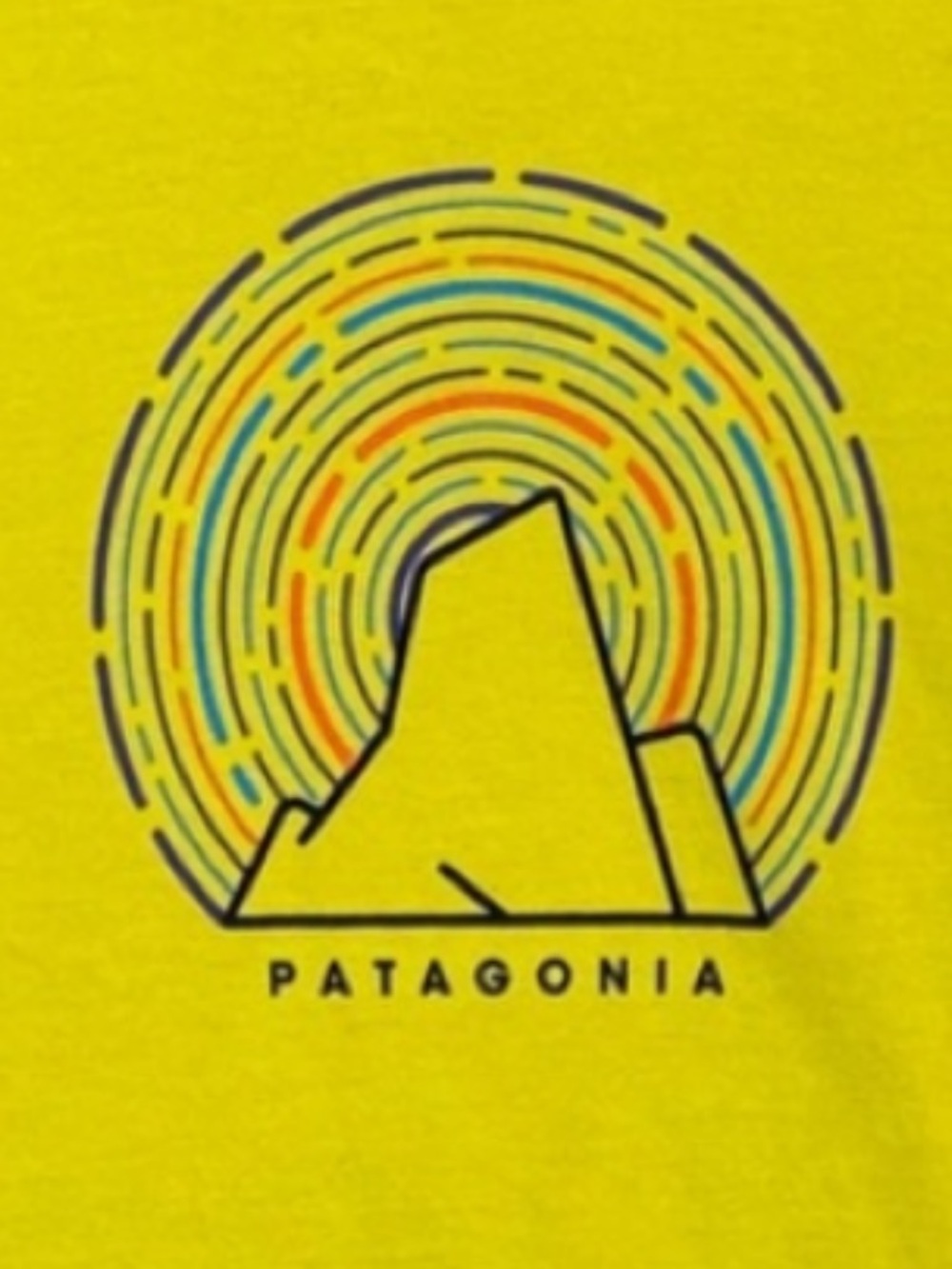 Patagonia Slim Fit Organic T-Shirt
